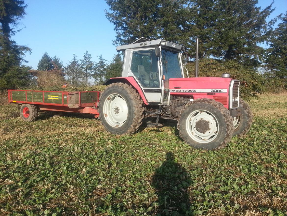 Massey Ferguson 3080 billede 10