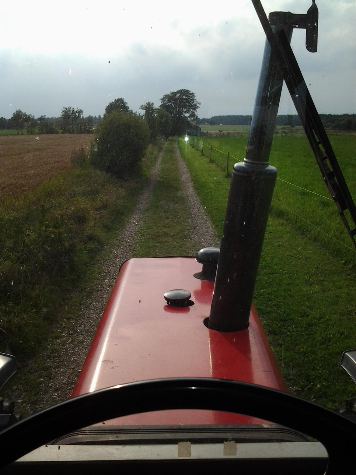 Massey Ferguson 575 - Fint udsyn billede 13