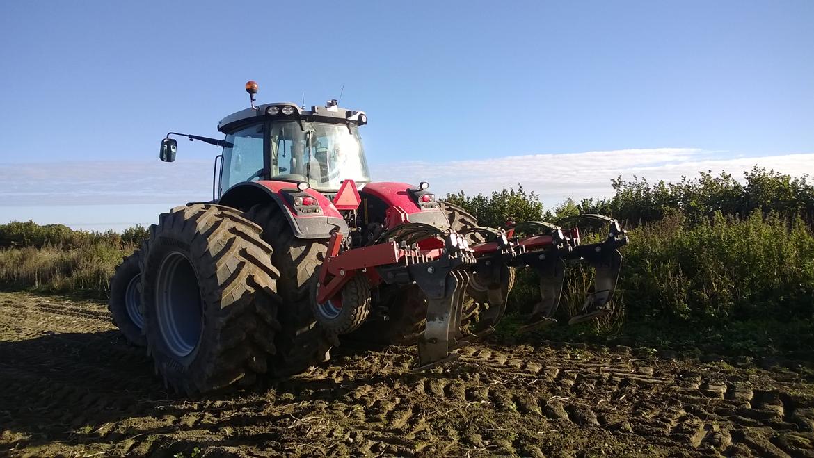 Massey Ferguson 8690 billede 13