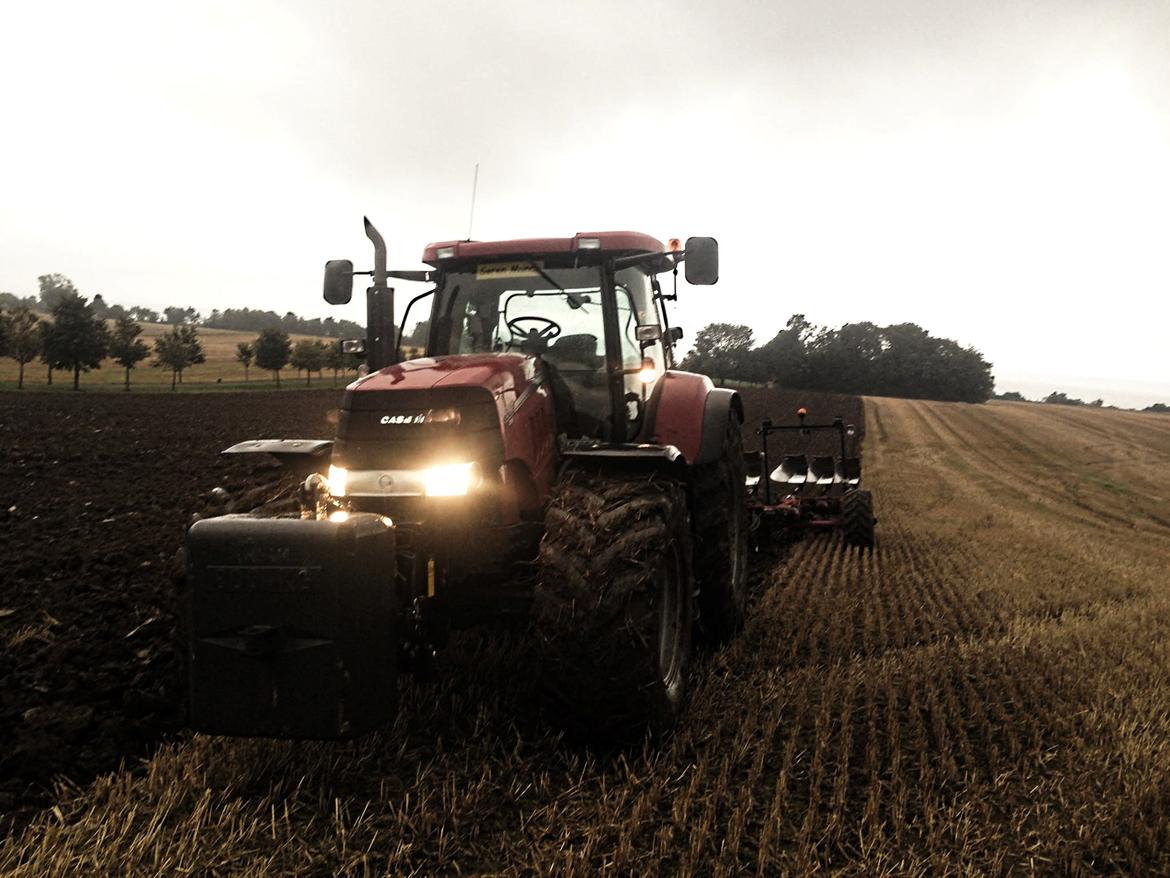 Case IH Puma 225 cvx (Æslet) - Pumaen der knokler  billede 1