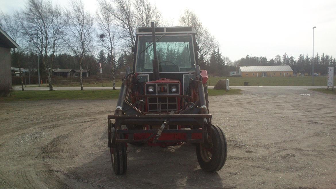 International Harvester 684 billede 2