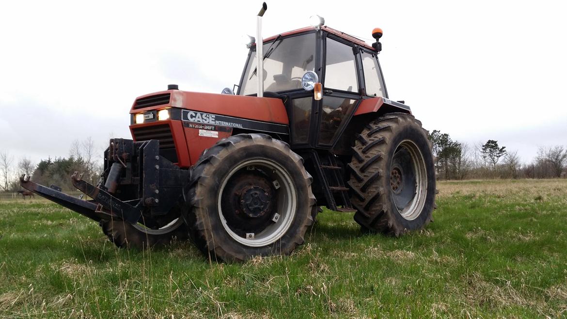 Case IH 1694 billede 6