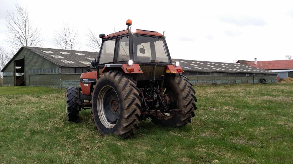 Case IH 1694 billede 7