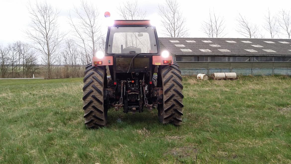 Case IH 1694 billede 8