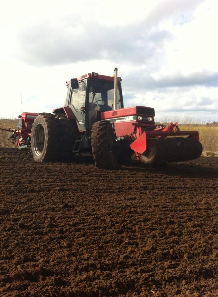 Case IH 956 XL - Såning af vårbyg 2014 billede 1