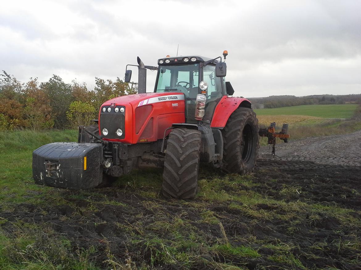 Massey Ferguson 8460 billede 3