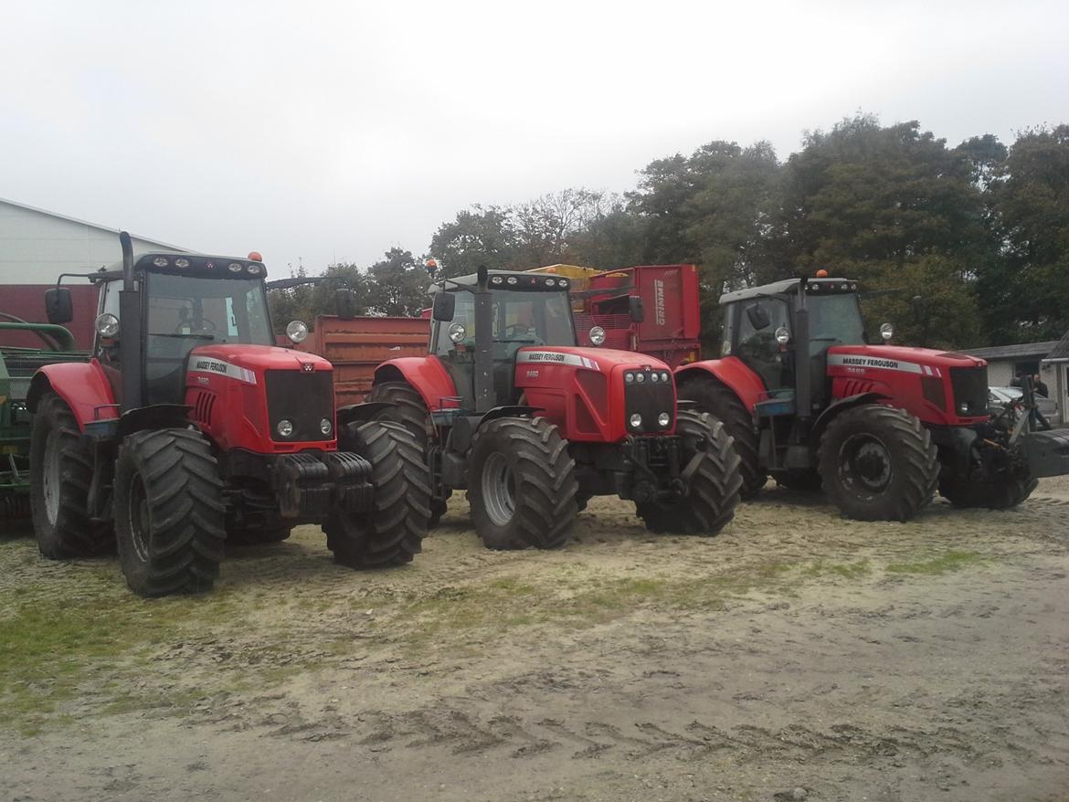 Massey Ferguson 8460 - lørdags hygge billede 4