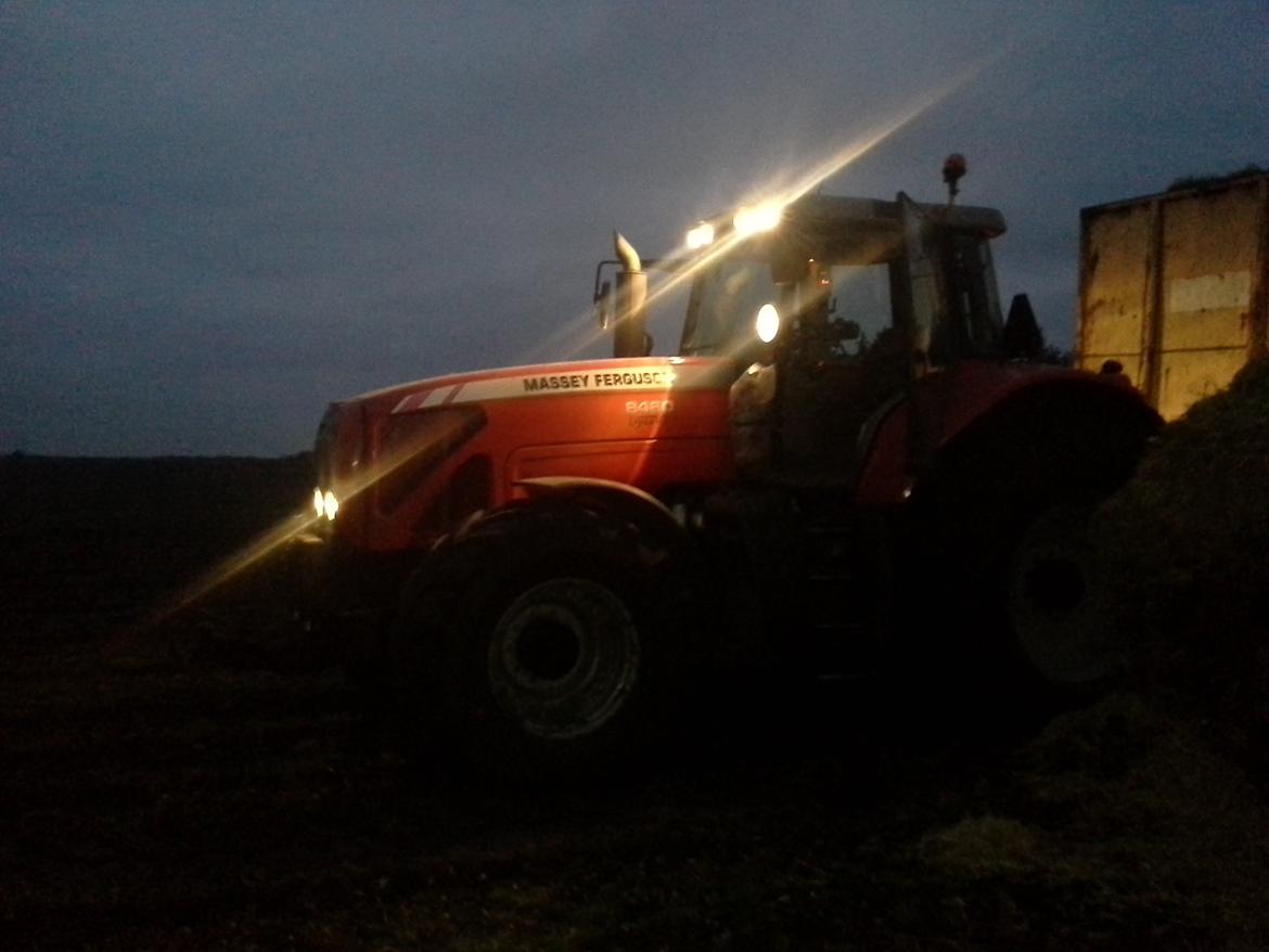 Massey Ferguson 8460 - lige en tidlig morgen billede 5