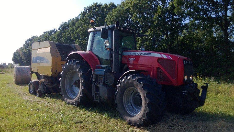 Massey Ferguson 8460 - et dejlig sommer billede billede 7