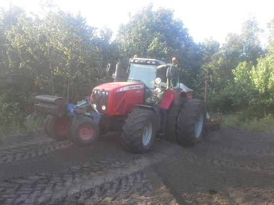 Massey Ferguson 8460 - med 4 meter såmaskine billede 8