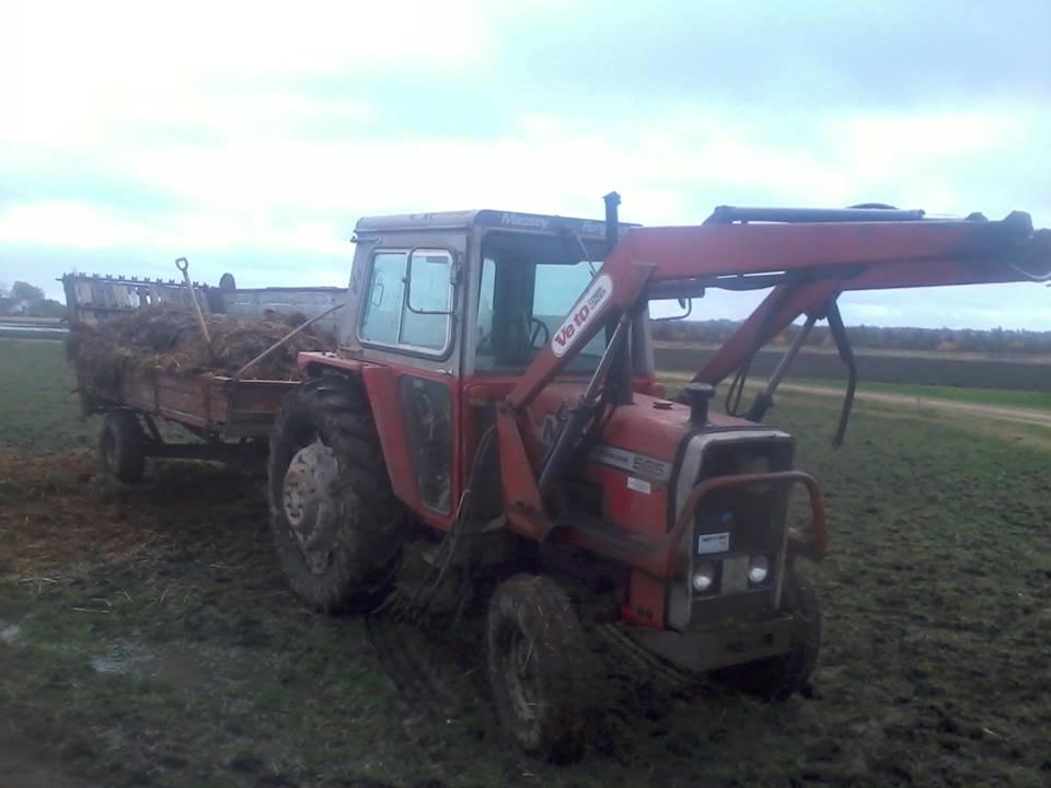 Massey Ferguson 565 billede 12