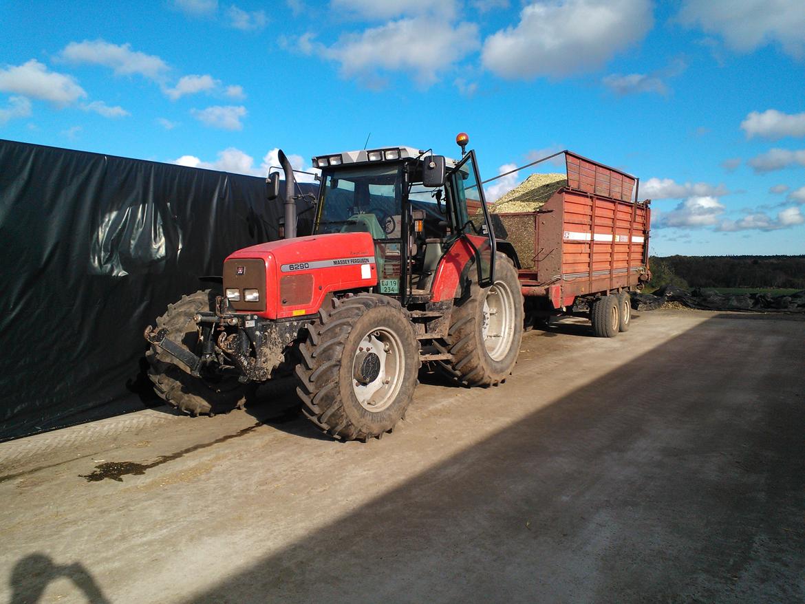 Massey Ferguson 6290 billede 5