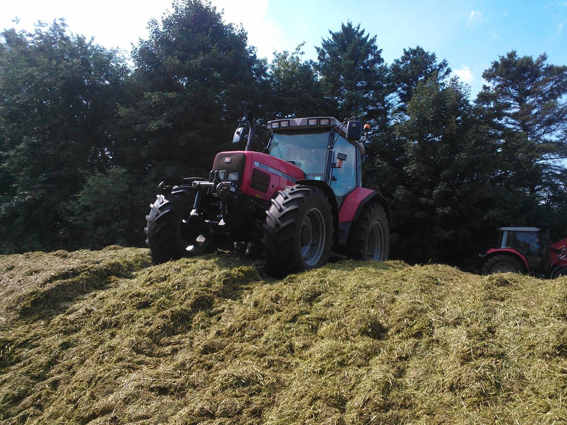 Massey Ferguson 6290 billede 6