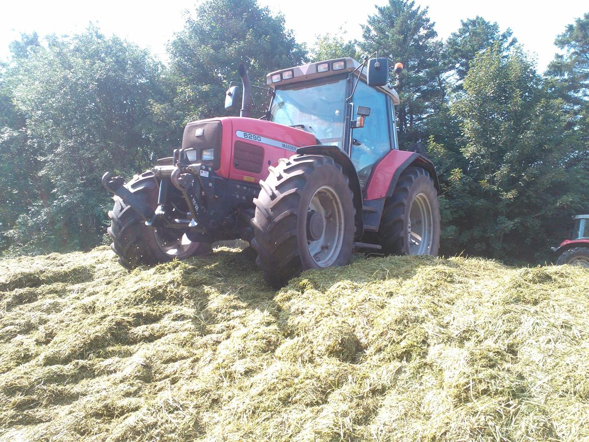 Massey Ferguson 6290 billede 8