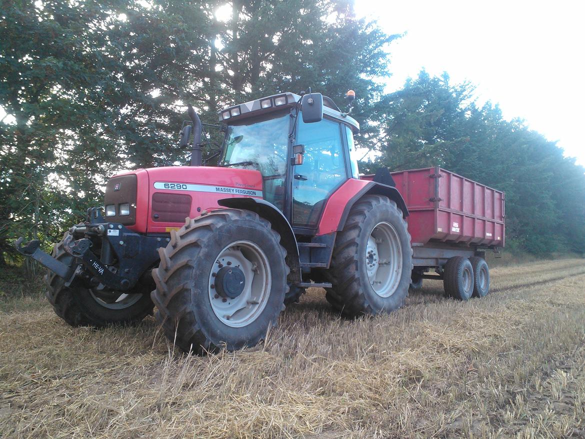 Massey Ferguson 6290 billede 10