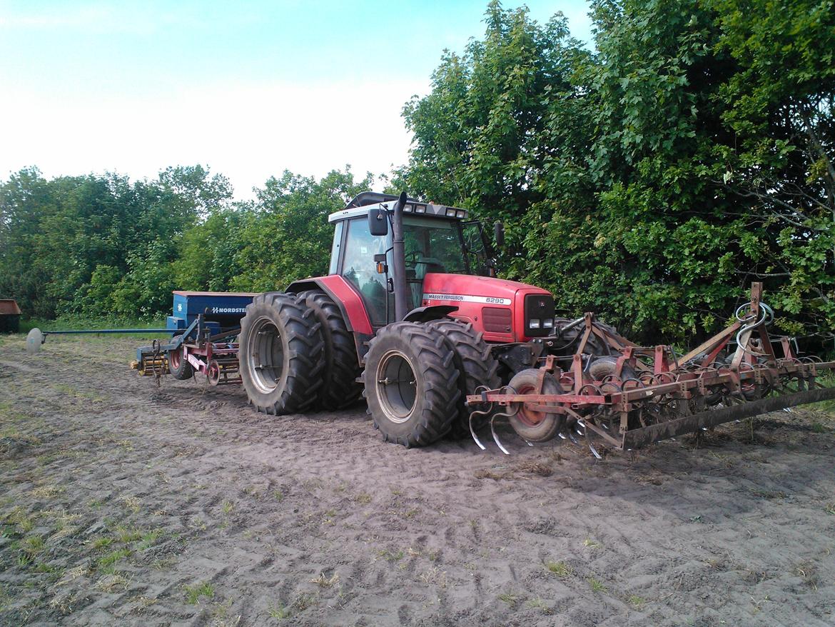 Massey Ferguson 6290 billede 4