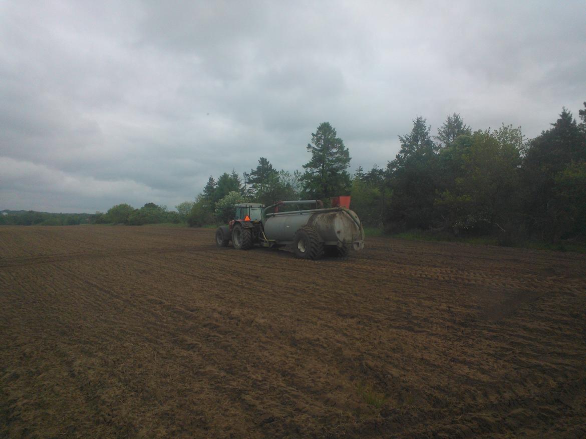 Massey Ferguson 6290 billede 11