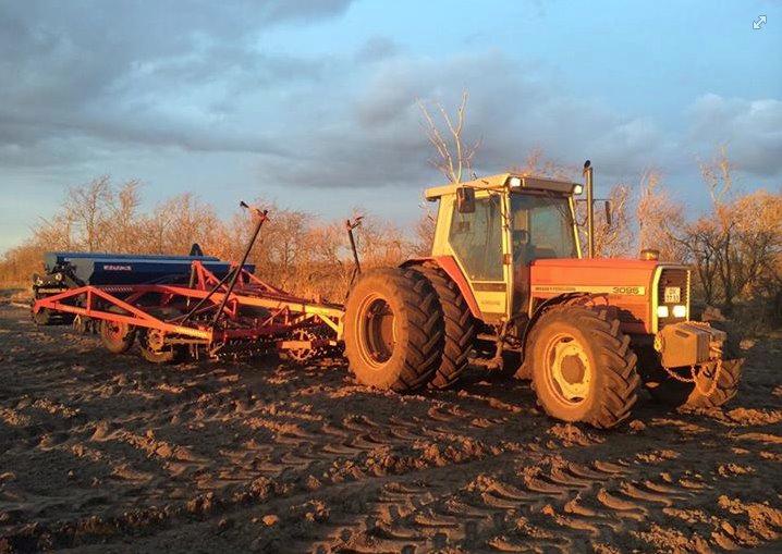 Massey Ferguson 3095 billede 1