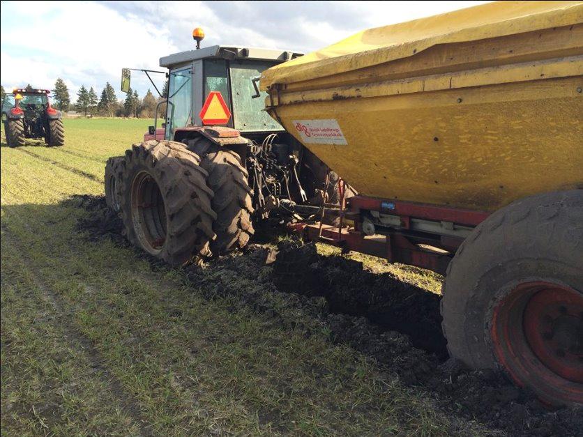 Massey Ferguson 3095 billede 3