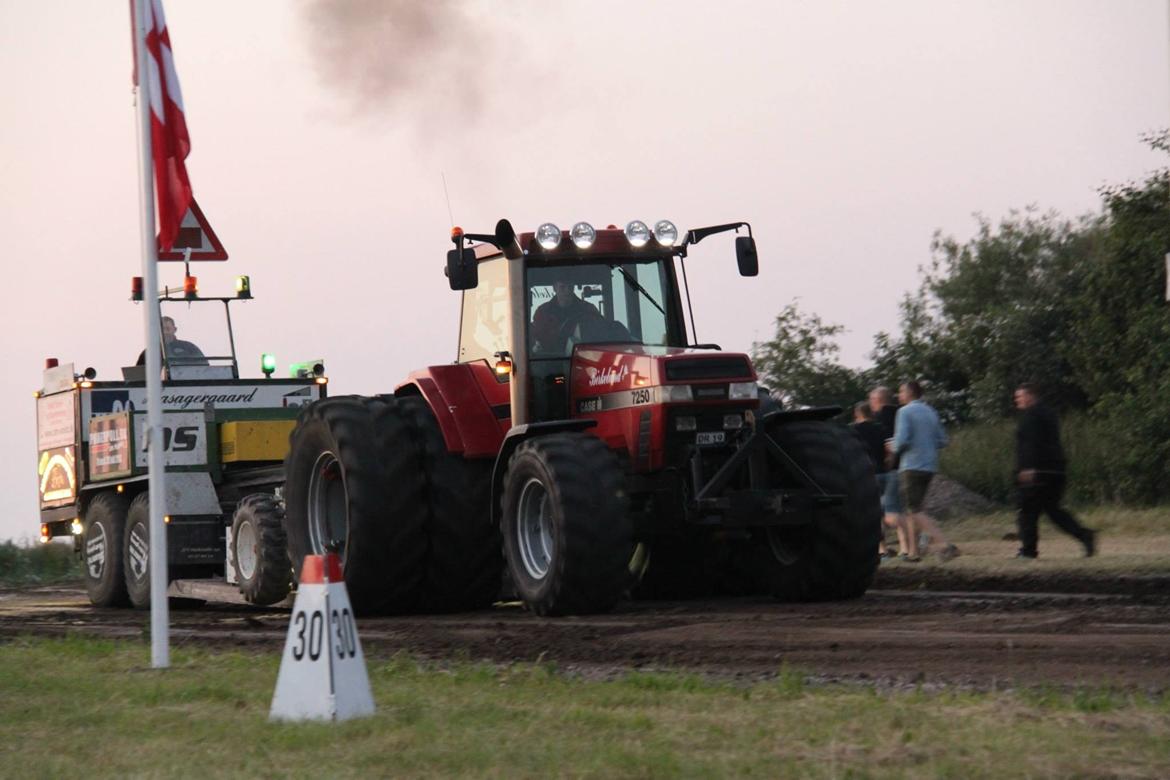 Case IH 7250 billede 20