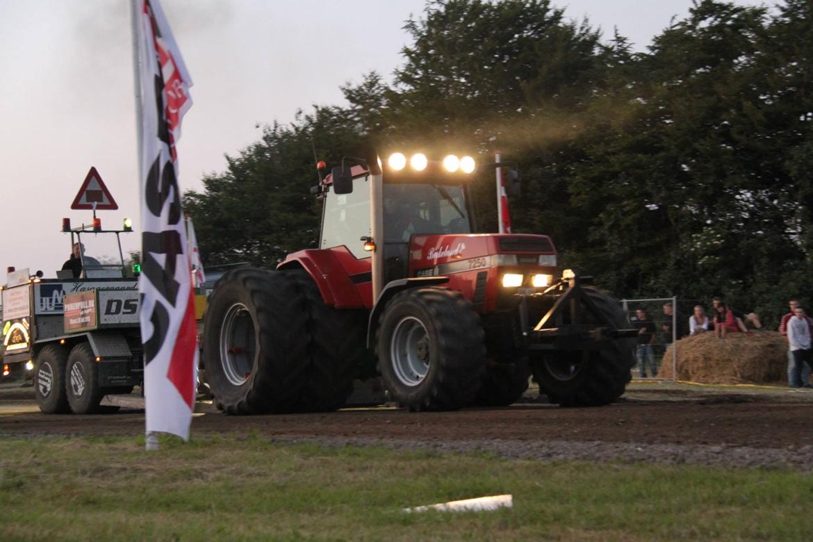 Case IH 7250 billede 21