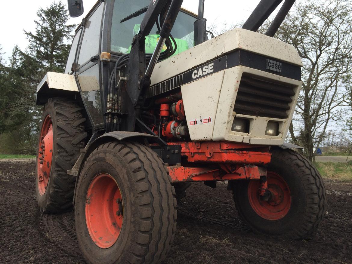 Case 1290 billede 1
