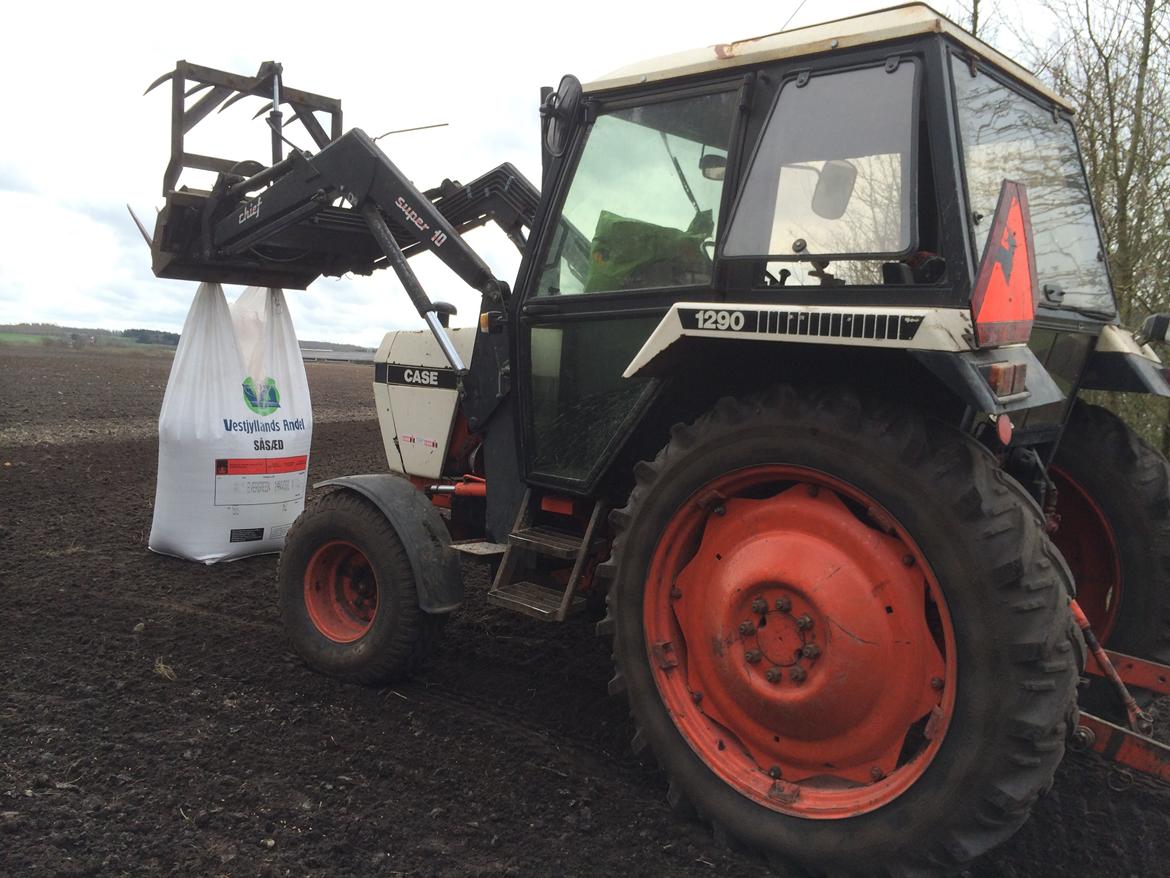Case 1290 billede 5