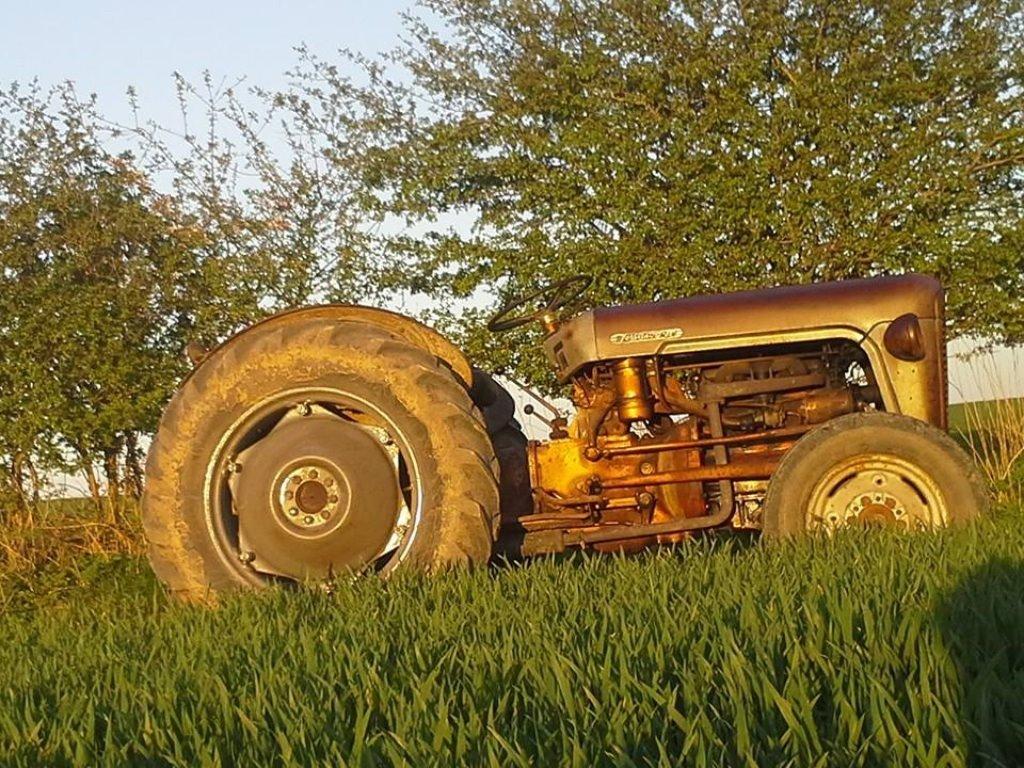 Ferguson Fe 35 guldfugl billede 3