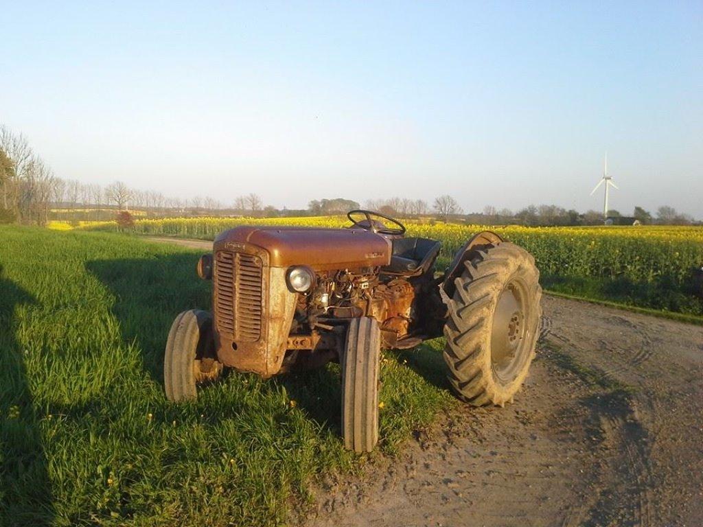 Ferguson Fe 35 guldfugl billede 11