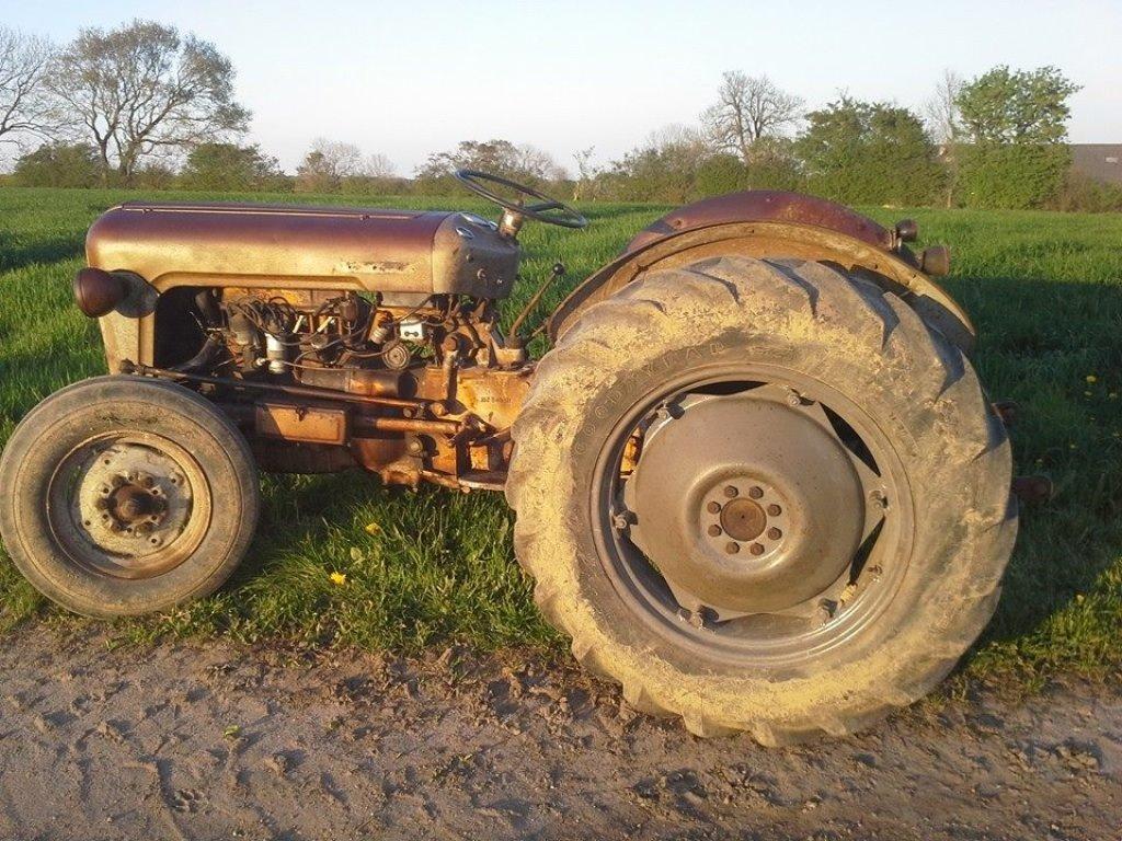Ferguson Fe 35 guldfugl billede 9