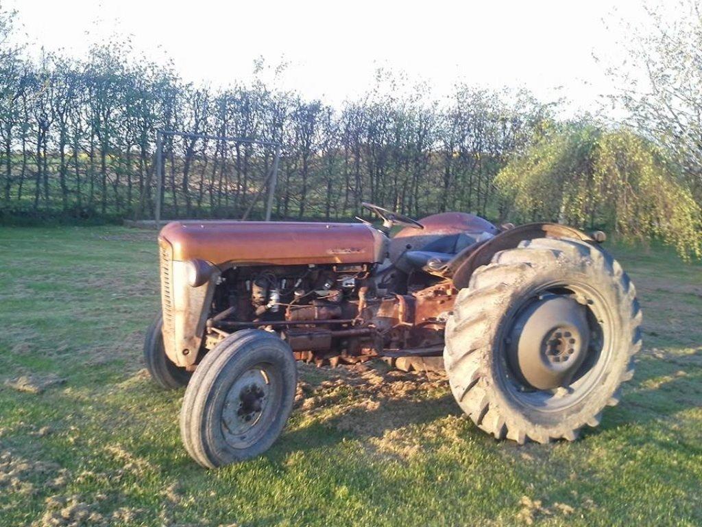 Ferguson Fe 35 guldfugl billede 12