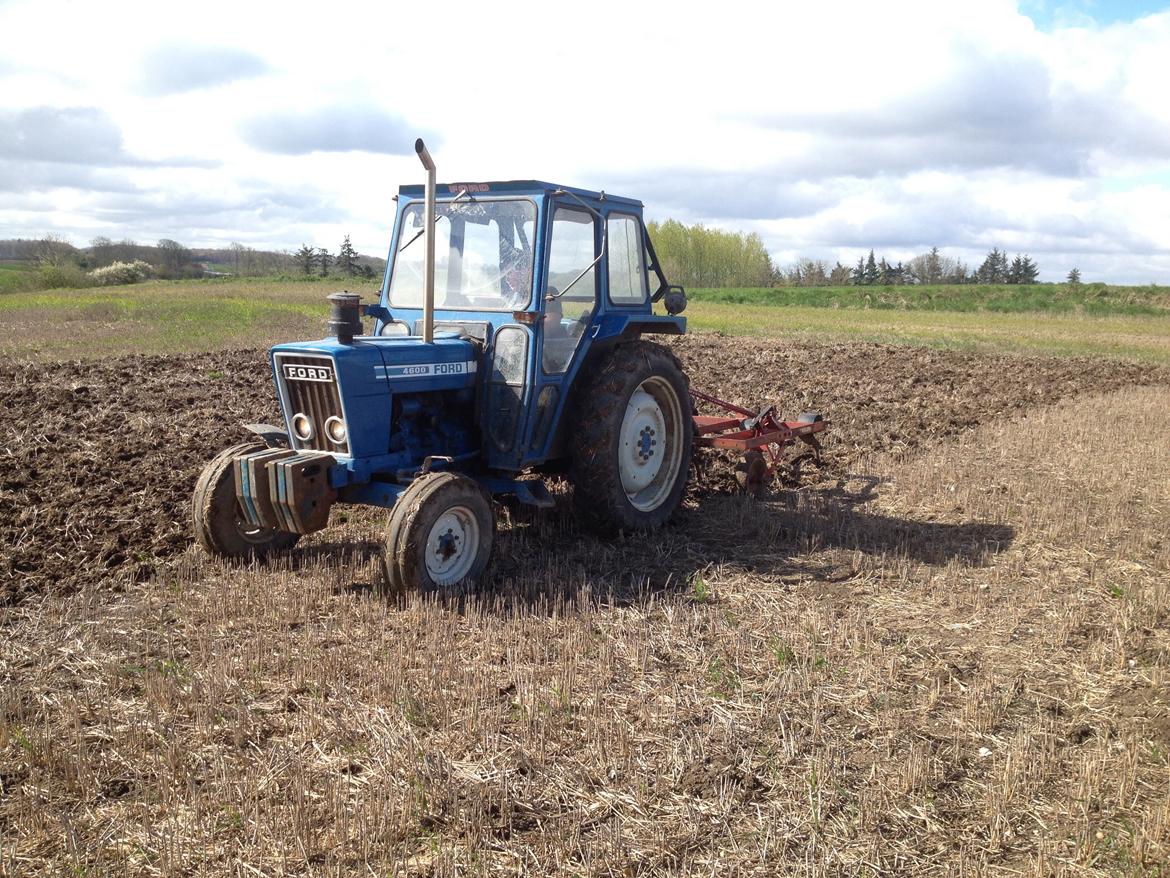 Ford 4600 (SOLGT) - Så skulle den lige afprøves med stubharven bag på ;)  billede 49