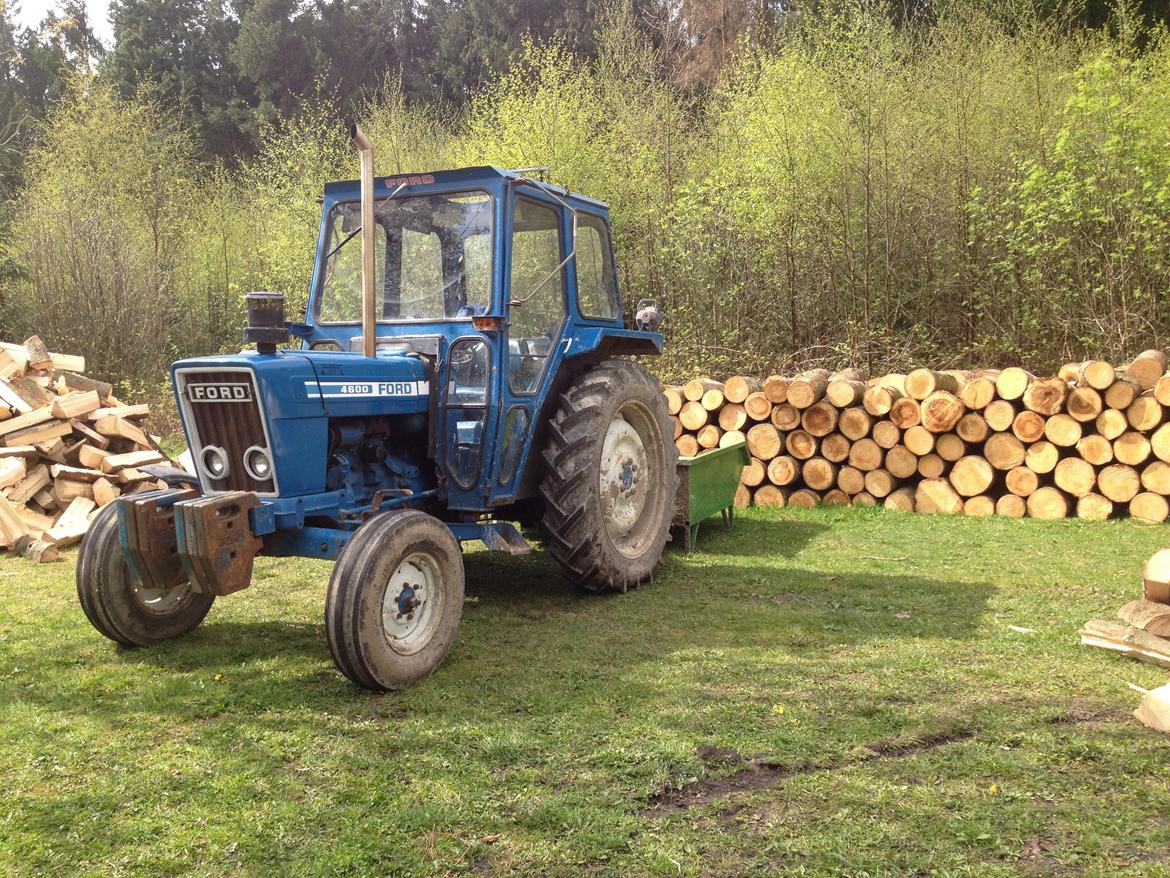 Ford 4600 (SOLGT) - Vi skulle ha kørt noget træ hjem billede 46