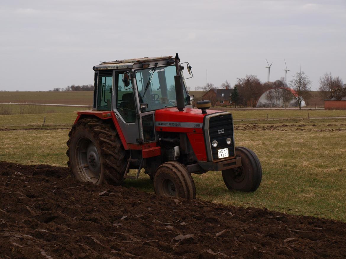 Massey Ferguson 699 billede 1