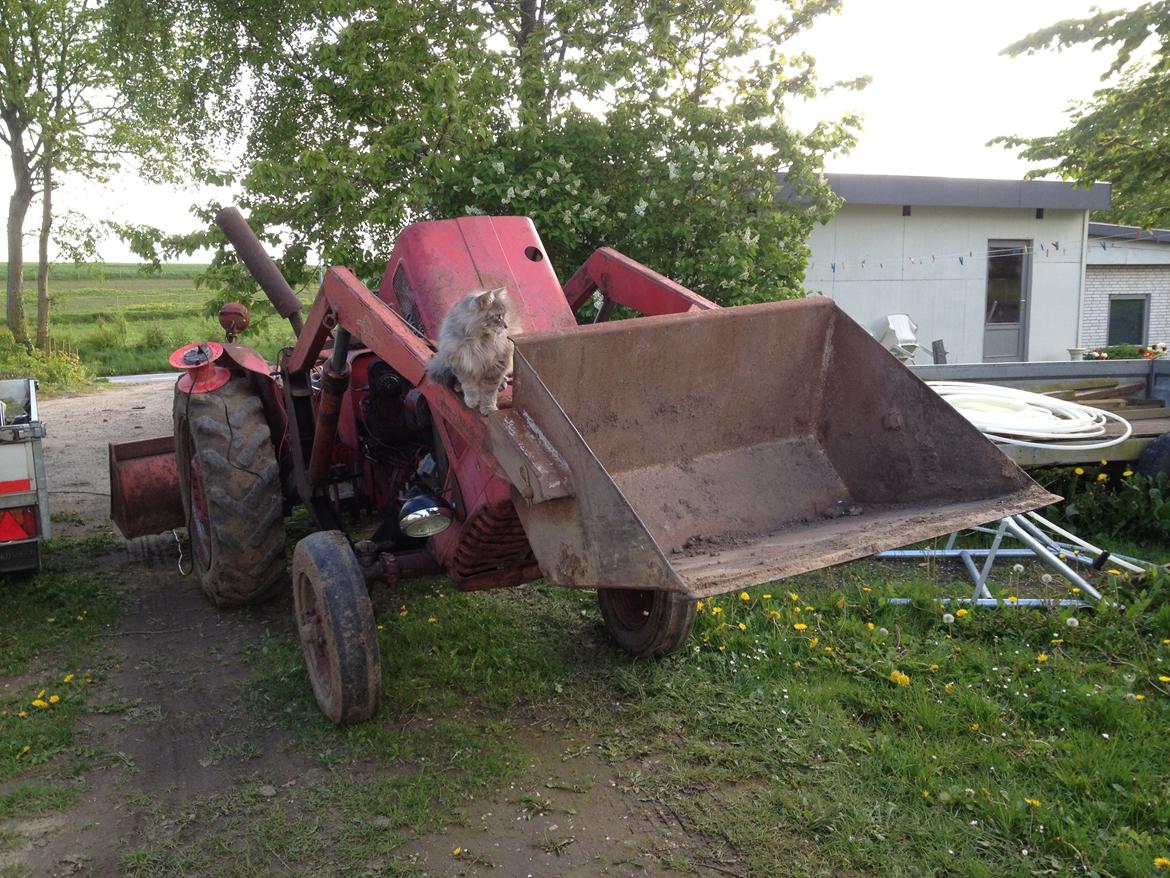 International Harvester B 275 billede 8