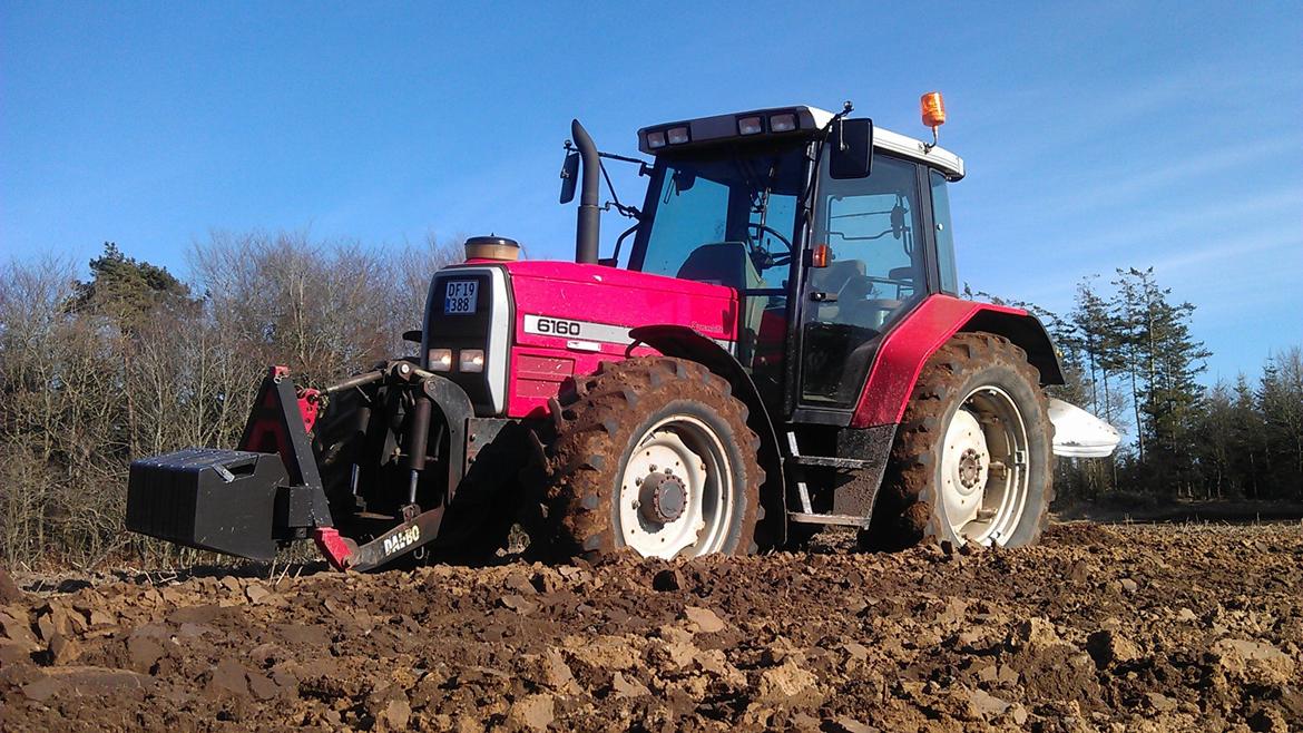 Massey Ferguson 6160 - Tidlig forår. Rykkede spidserne af ploven på grund af frost (2013) billede 5