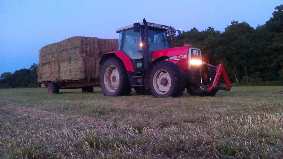 Massey Ferguson 6160 - så bjerges der hø (2013) billede 6