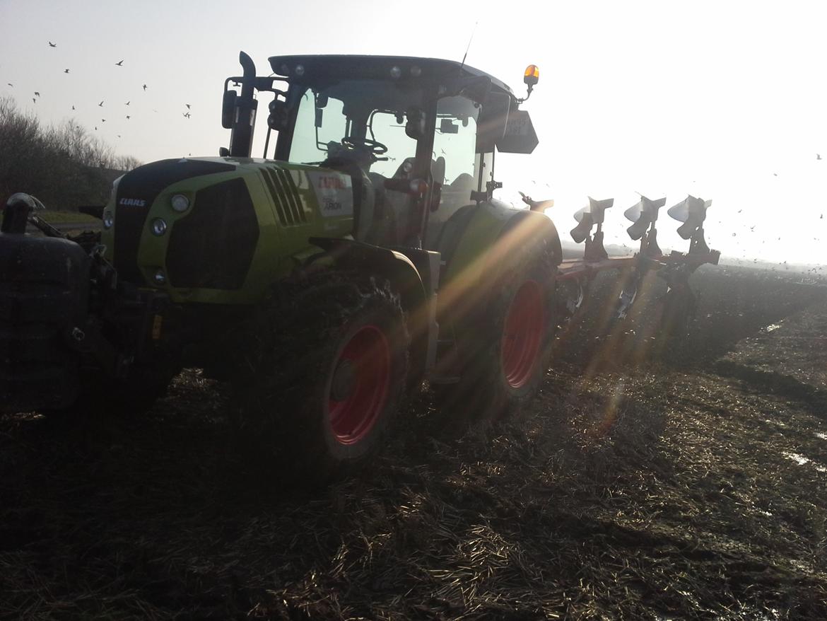 Claas Arion 650 billede 8