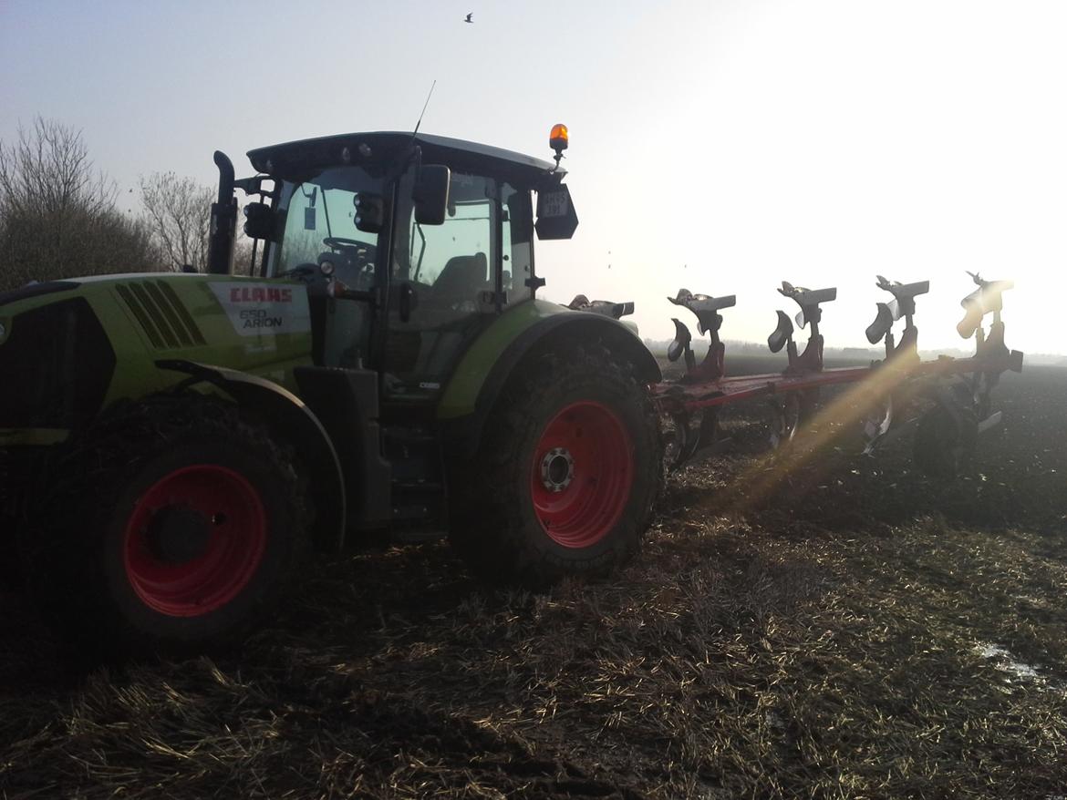 Claas Arion 650 billede 10