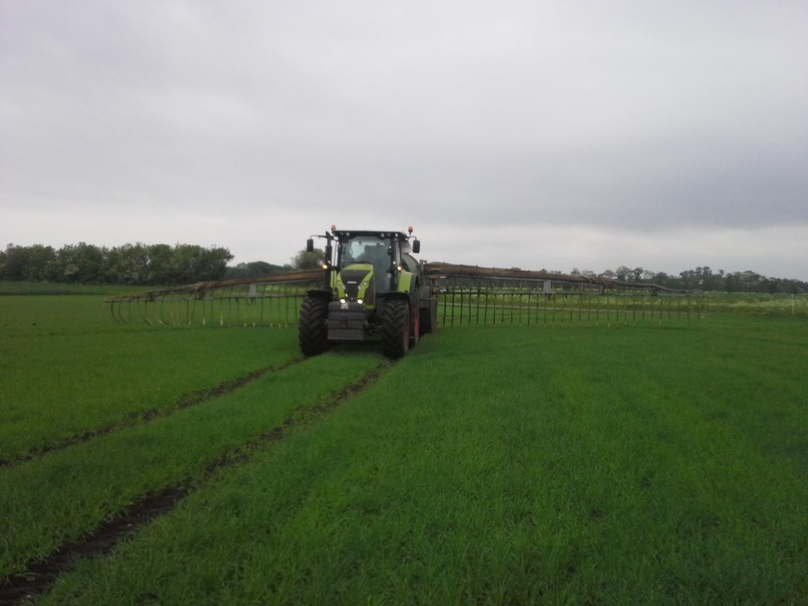 Claas Axion 830 billede 24