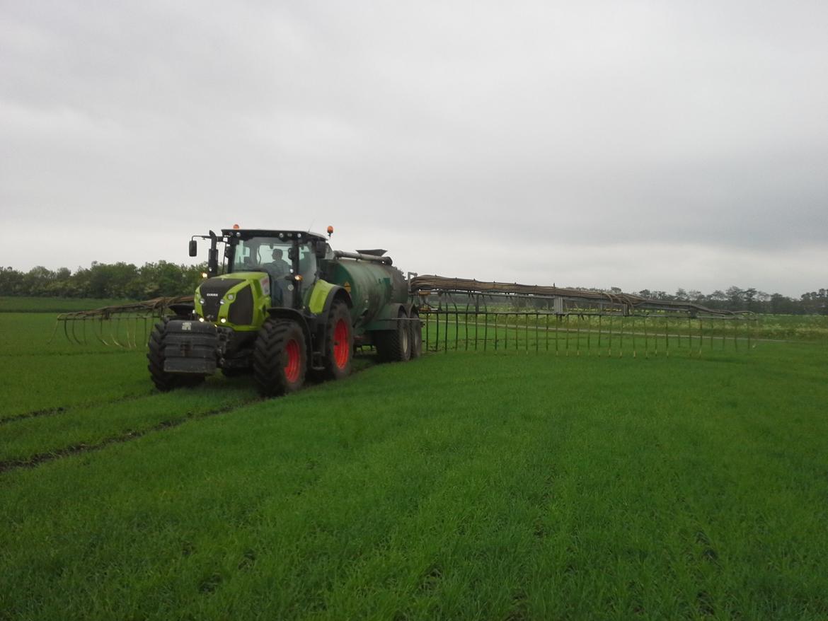 Claas Axion 830 billede 25