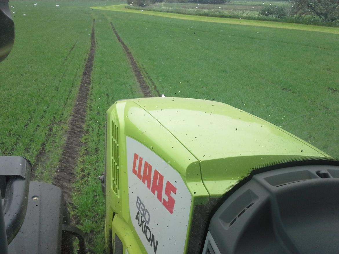 Claas Axion 830 billede 28
