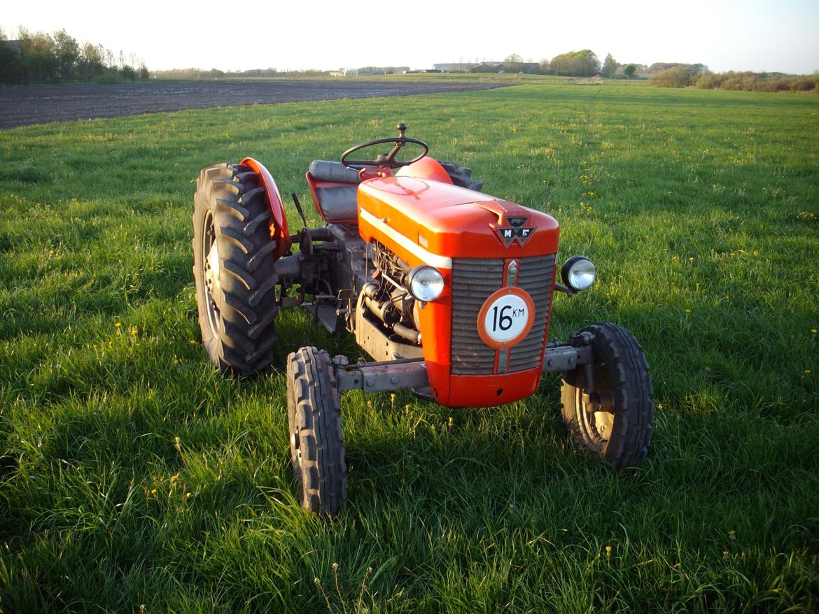 Massey Ferguson 30 billede 2