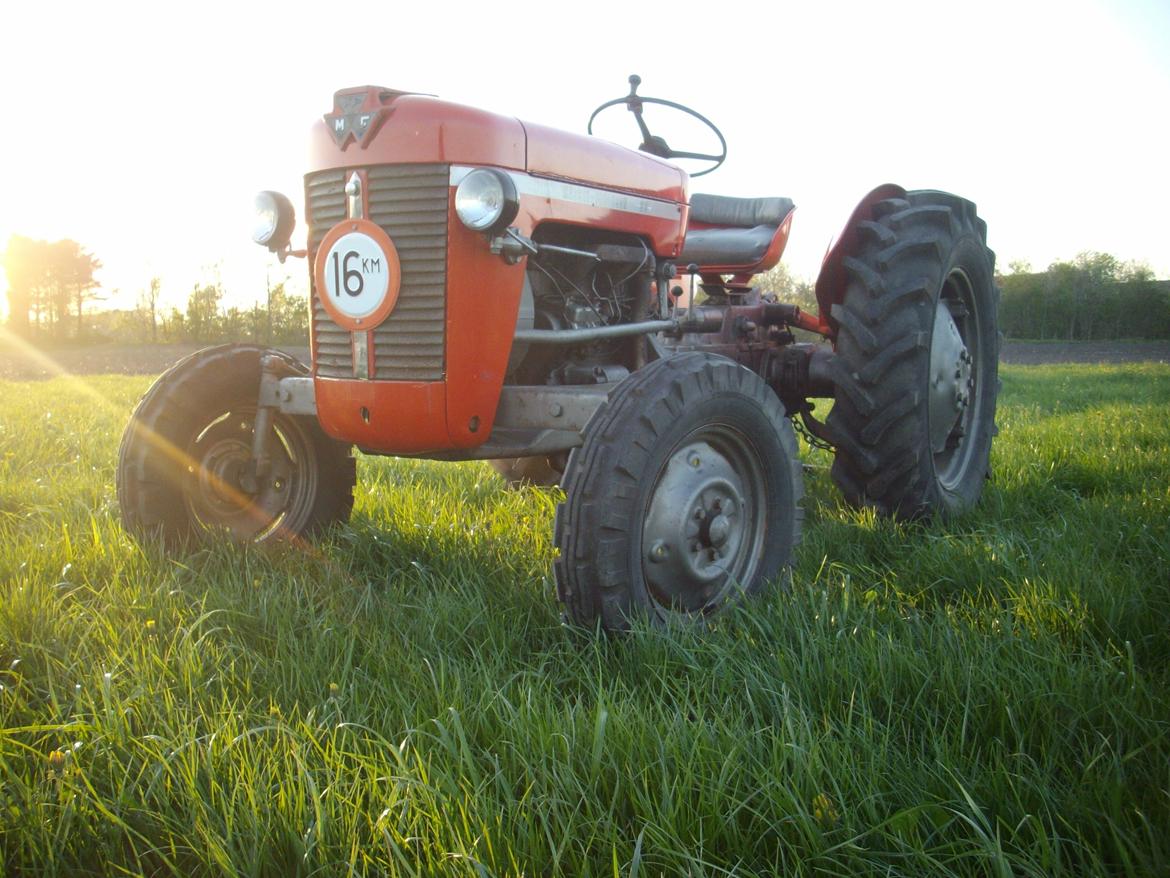 Massey Ferguson 30 billede 4