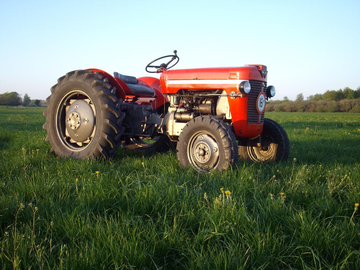 Massey Ferguson 30 billede 5