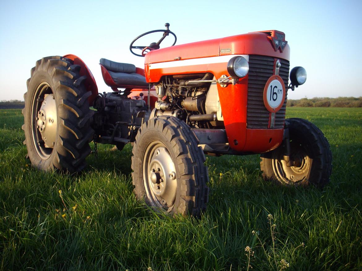 Massey Ferguson 30 billede 1