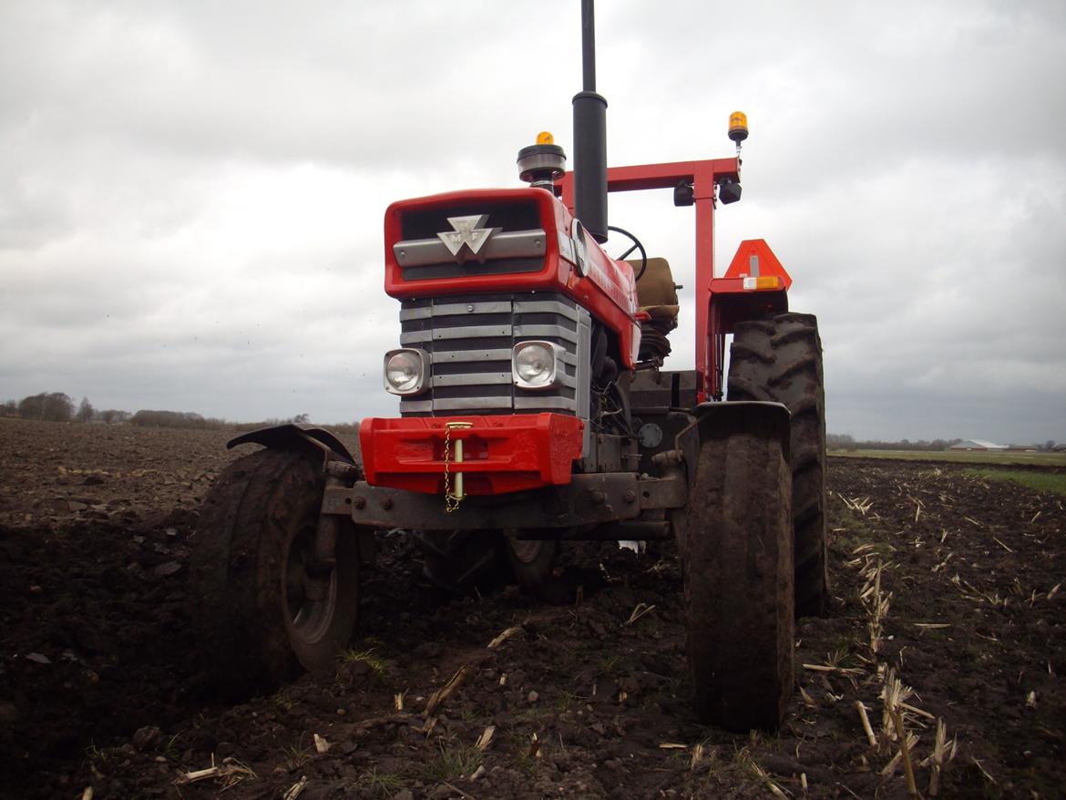 Massey Ferguson 1080 billede 2