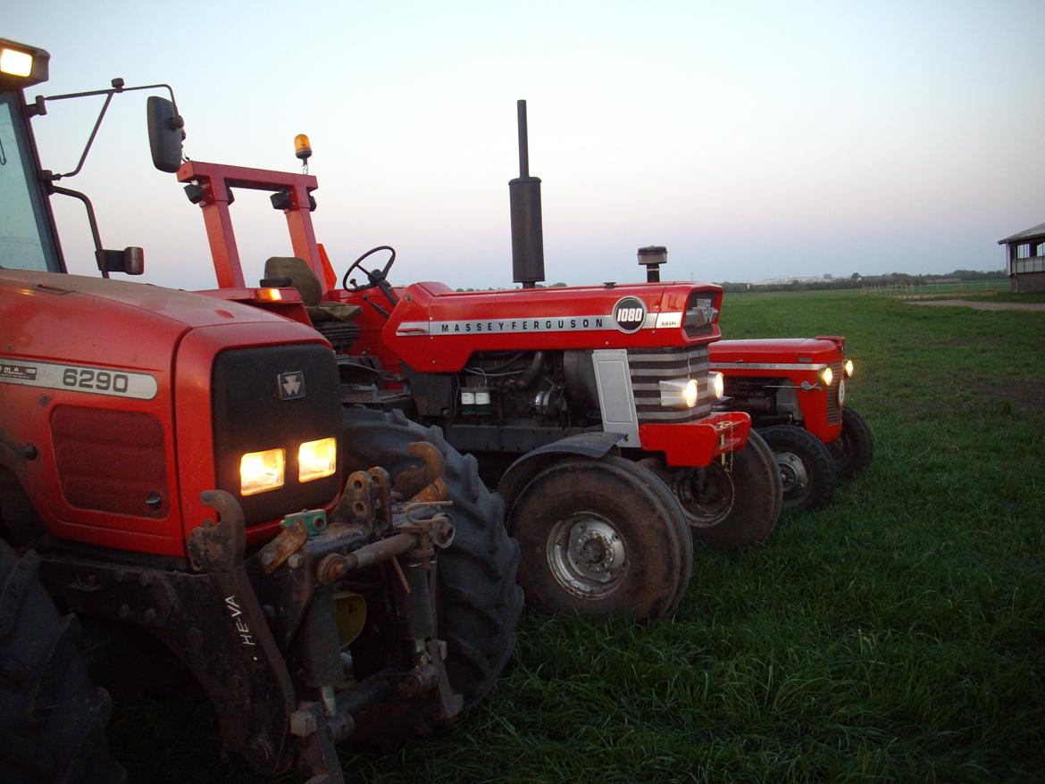 Massey Ferguson 1080 billede 9