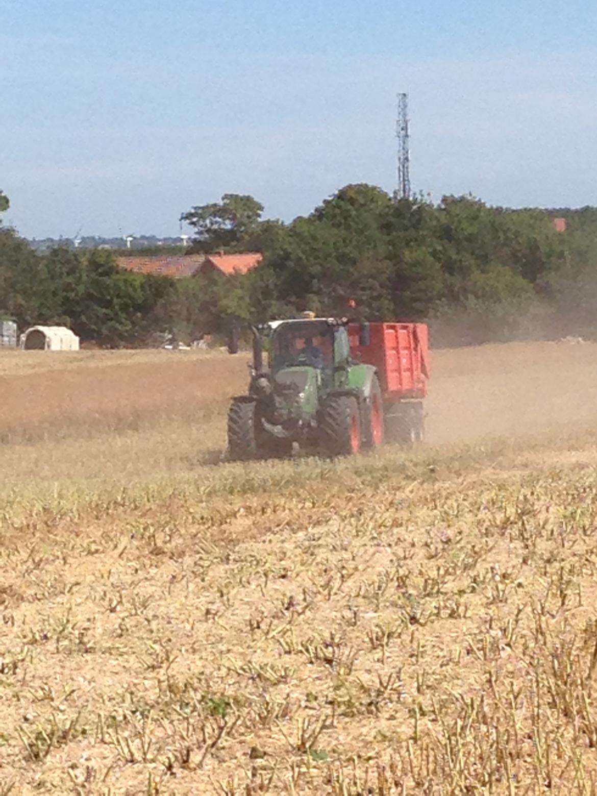 Fendt 724 vario tms profi plus - på vej efter endnu et læs raps billede 22