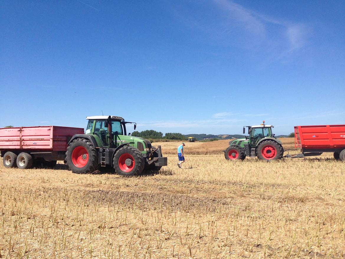 Fendt 724 vario tms profi plus - engang imellem der er læs kan man lige få et øjeblik hvor at man kan snakke lidt. ;) billede 23